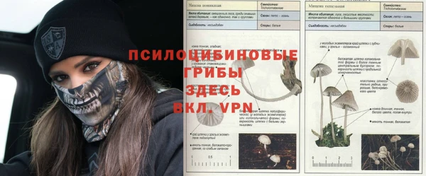 марихуана Абинск