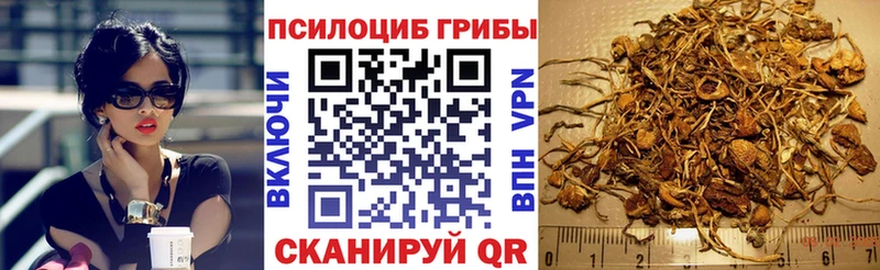 дарк нет клад  hydra ONION  Верхоянск  Псилоцибиновые грибы MAGIC MUSHROOMS 